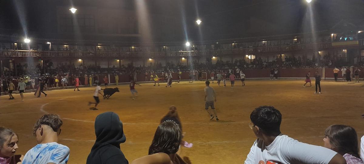GALERÍA | La verbena taurina de las Fiestas de San Agustín de Toro, en imágenes GALERÍA | La verbena taurina de las Fiestas de San Agustín de Toro, en imágenes