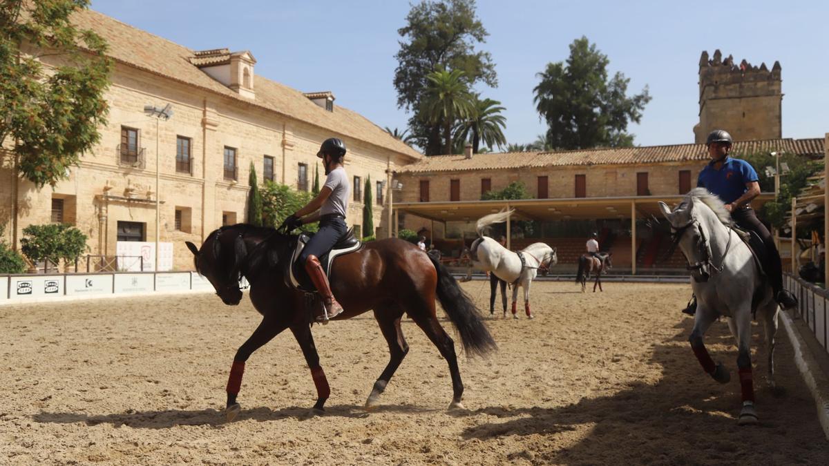 Visita a Caballerizas