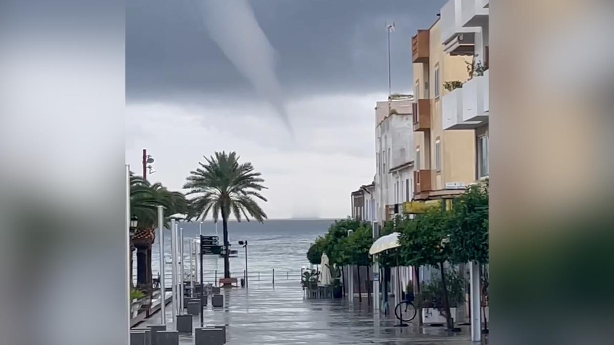 Capturan un increible cap de fibló en la costa de ibiza