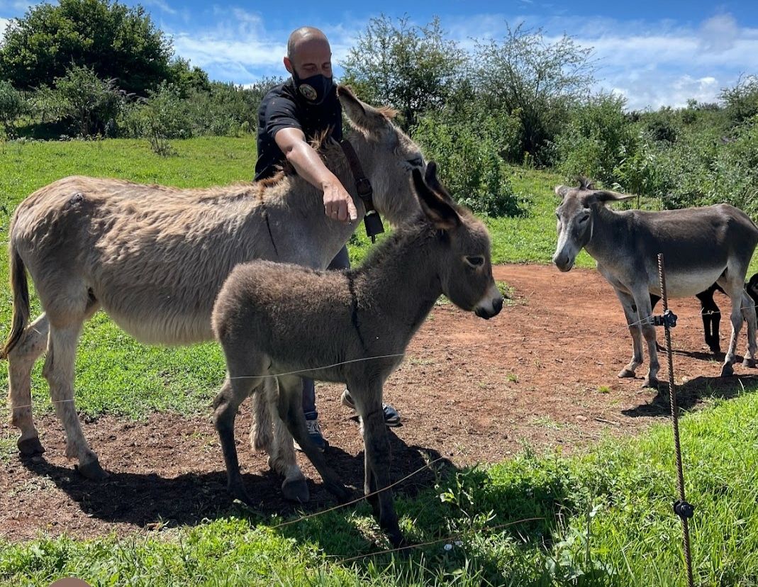 El colectivo Gorfolí-Santufirme premia al Núcleo Zoológico de Tuernes el Pequeño