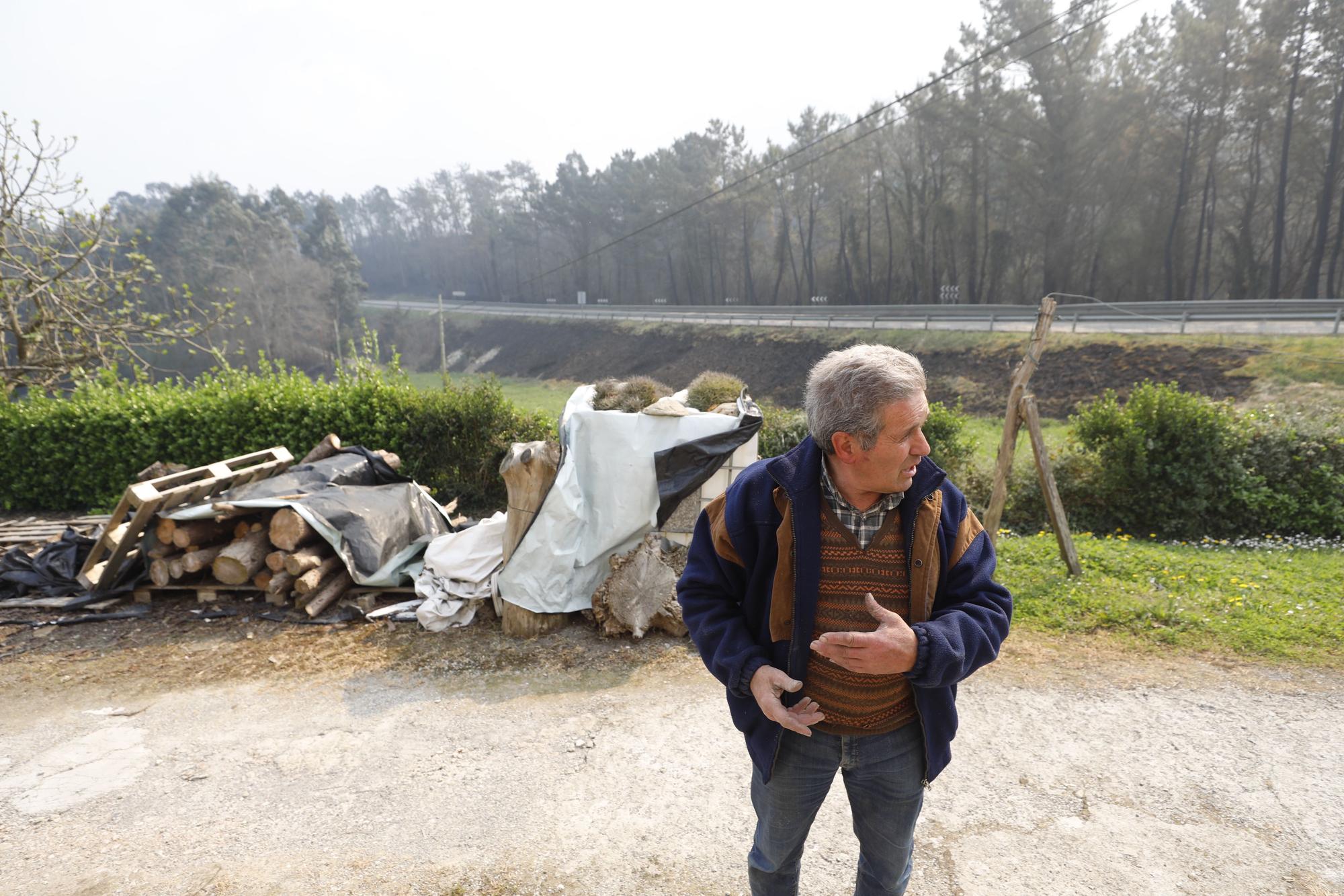 EN IMÁGENES: Gran oleada de incendios en Asturias