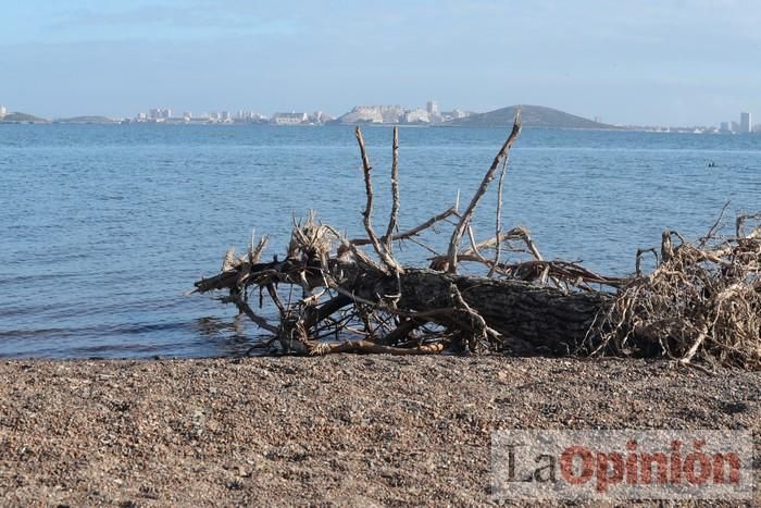 SOS Mar Menor retira dos toneladas de basura