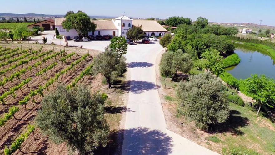 Rock, estrellas, vinos y cavas en la noche de las perseidas de Pago de Tharsys