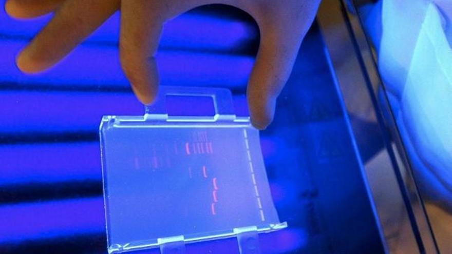Un científico de la compañía Serono examina un perfil de ADN con una luz ultravioleta en los laboratorios de la biotecnológica en Corsier Sur Vevey, Suiza.
