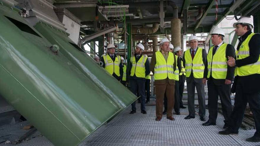 La planta de biomasa de Ence en Mérida generará 400 empleos en la región