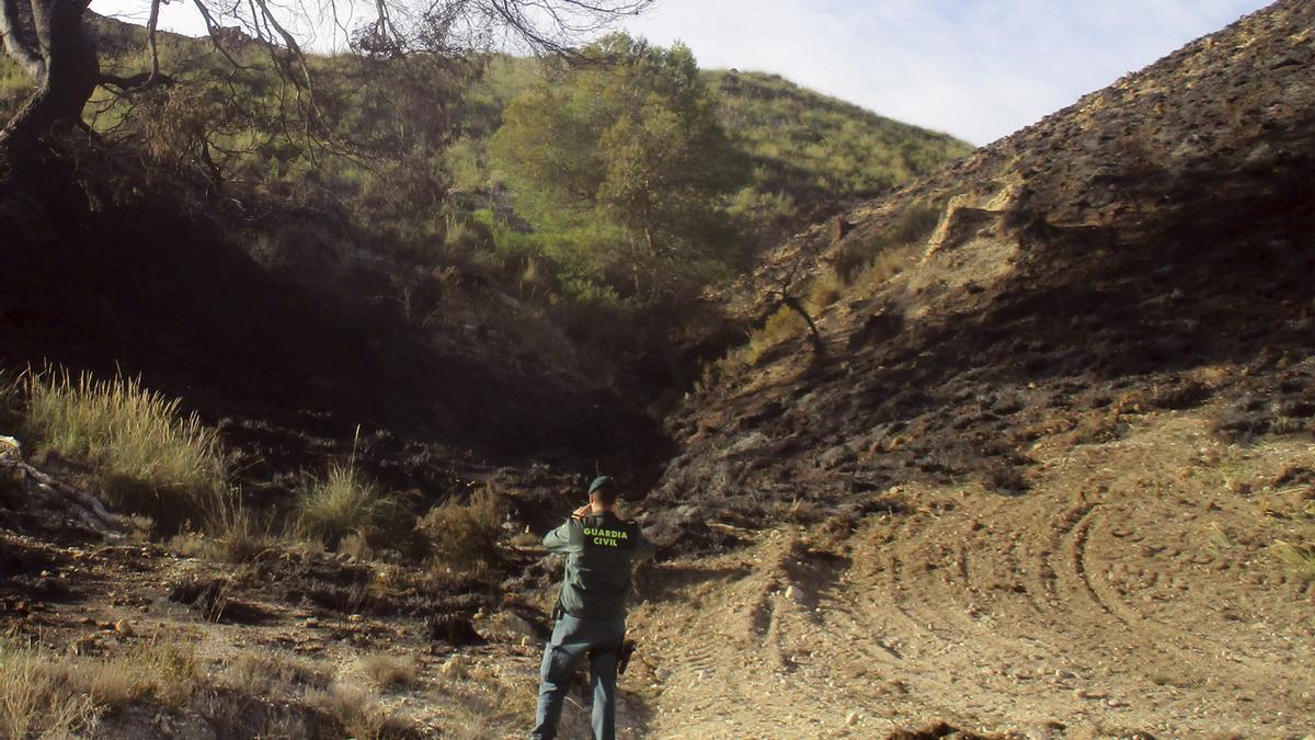 Un agente de la Guardia Civil inspecciona el terreno donde se originó el incendio