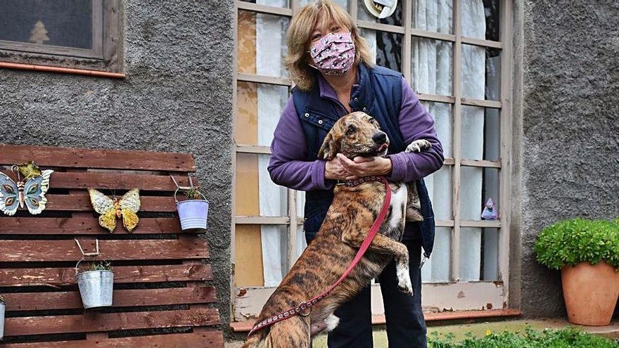 Carme Pérez amb un dels gossos de l&#039;Associació Berguedana per a la Protecció dels Animals