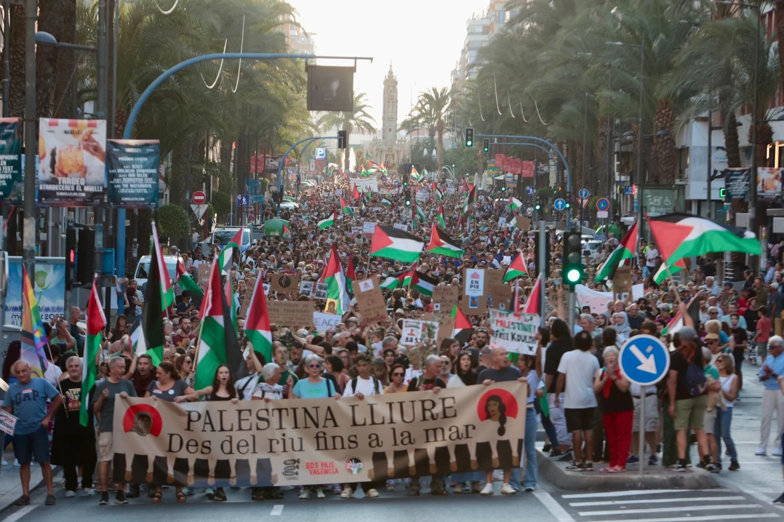 Más de 80 colectivos de Alicante se manifiestan a favor de Palestina