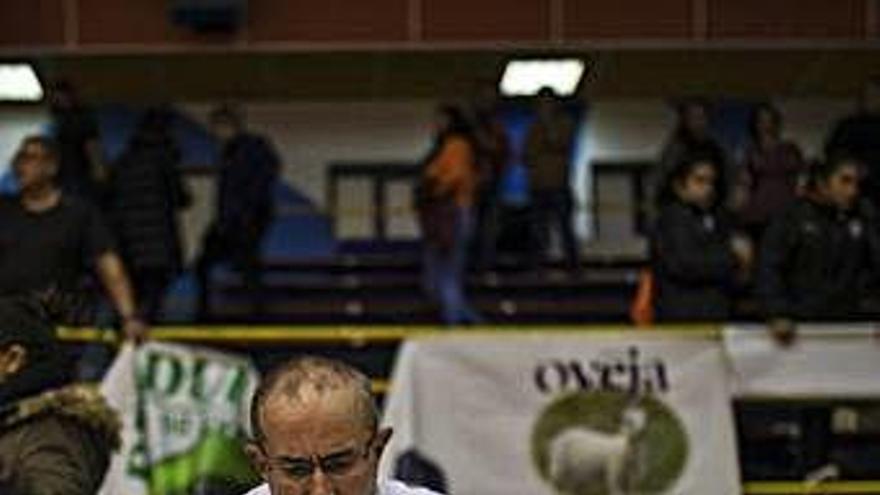 Angel Fernández, entrenador del Quesos El Pastor.