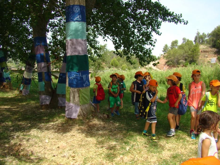 Infants de Sant Salvador creen el 'bosc de l'alegria'