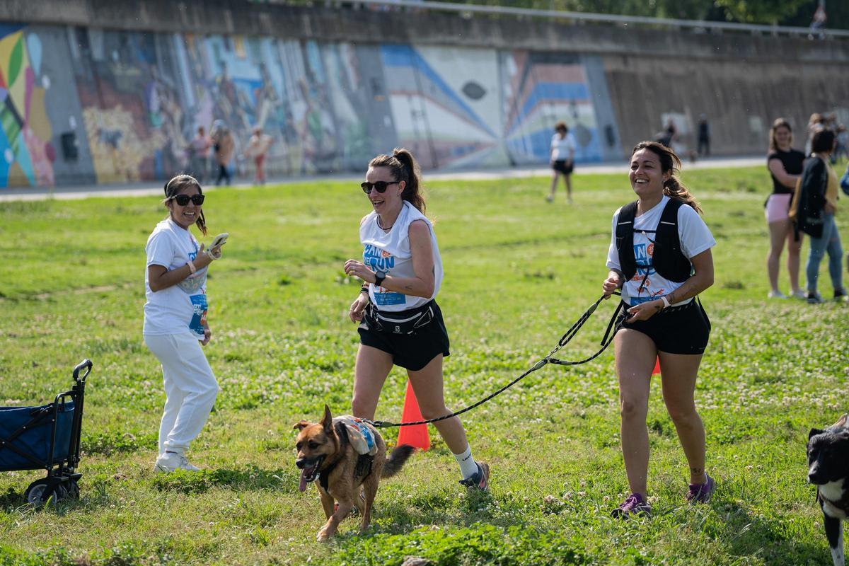Carrera Can We Run 2025