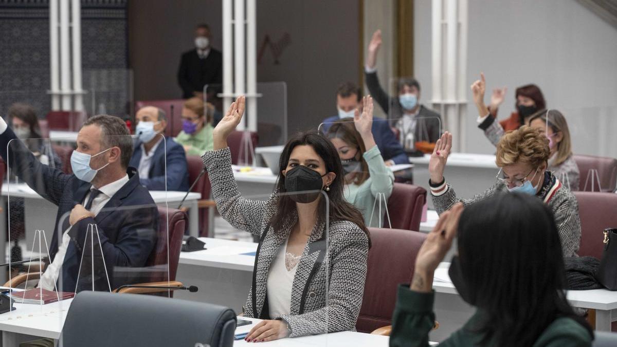 Miriam Guardiola (centro) vota con su grupo parlamentario, esta mañana en la Asamblea