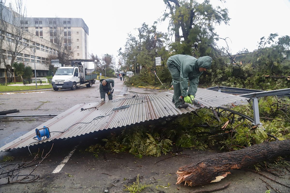 Un tornado deja un reguero de incidencias en el entorno del hospital Reina Sofía