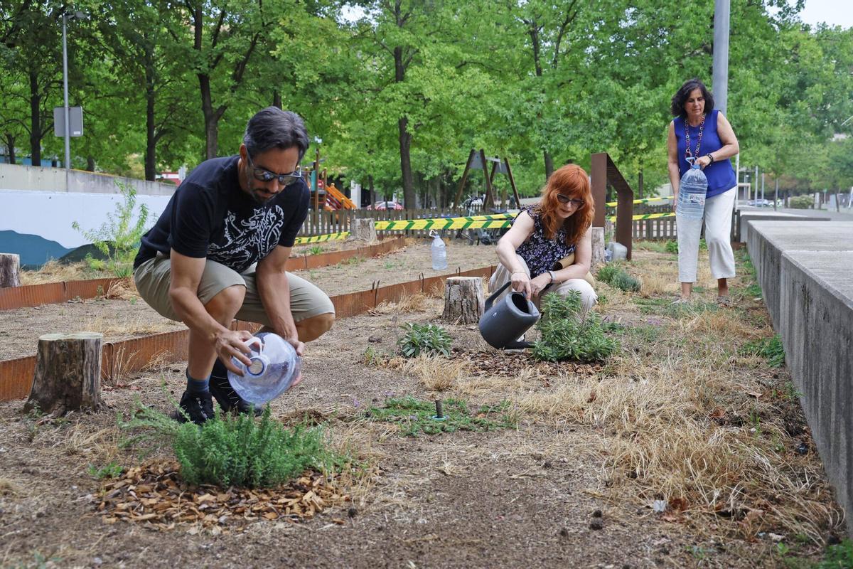 Les imatges del jardí de ratafia de Girona Les imatges del jardí de ratafia de Girona
