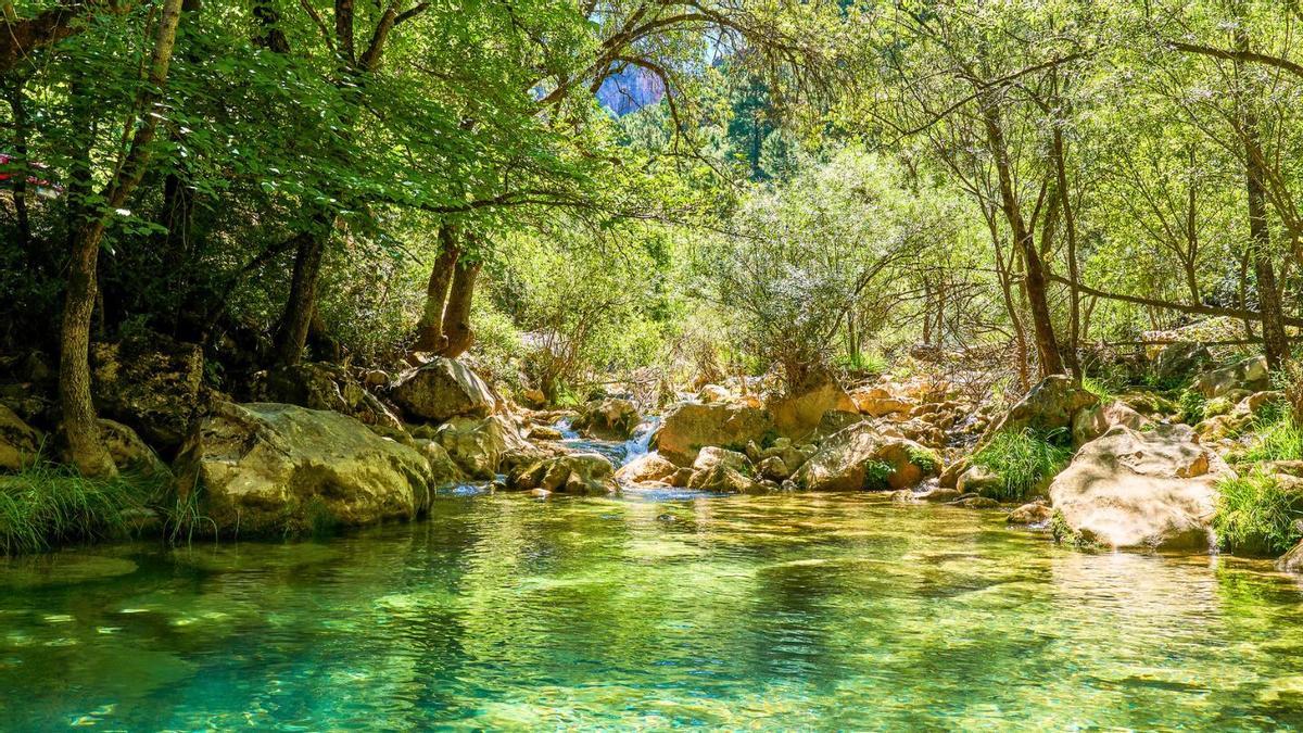 Paisaje característico del Parque Natural de las Sierras de Cazorla, Segura y Las Villas, el espacio protegido más grande de España.