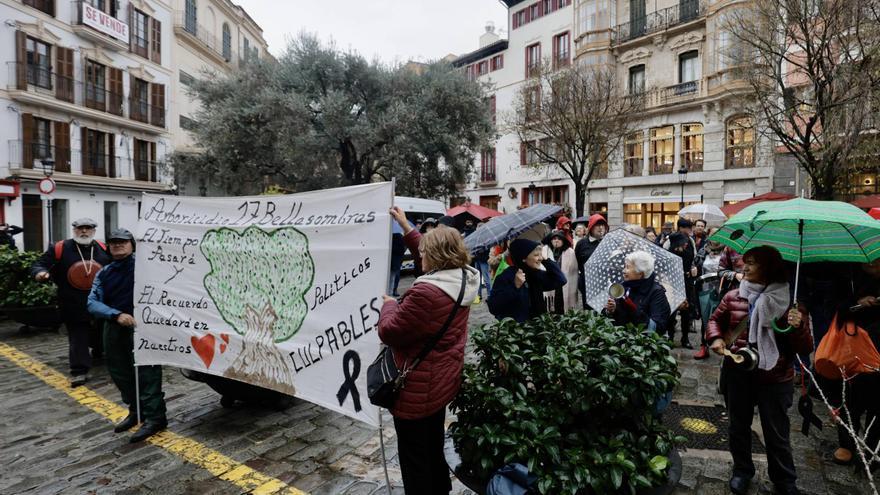 VÍDEO | Cacerolas contra la tala de los bellasombras de Llorenç Villalonga