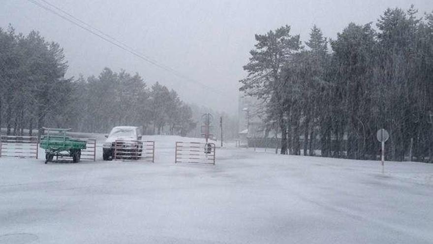 Primer día de nieve en Manzaneda.  // FdV