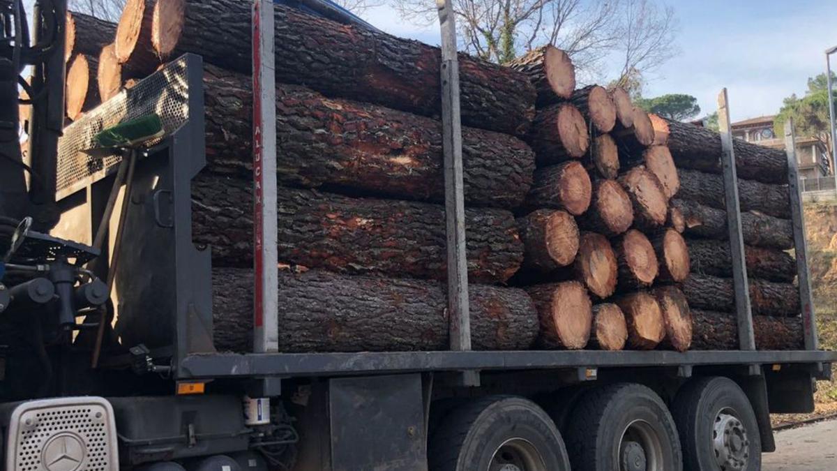 Un camió carregat a Santa Coloma amb els trocs de la tala. | DDG