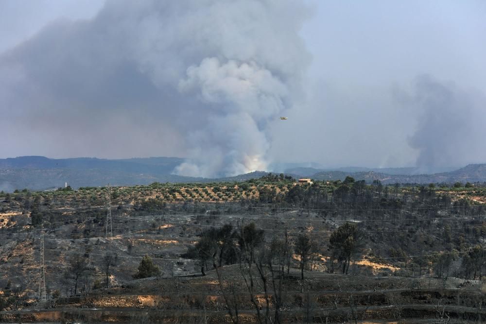 Sigue descontrolado el incendio de Tarragona ...