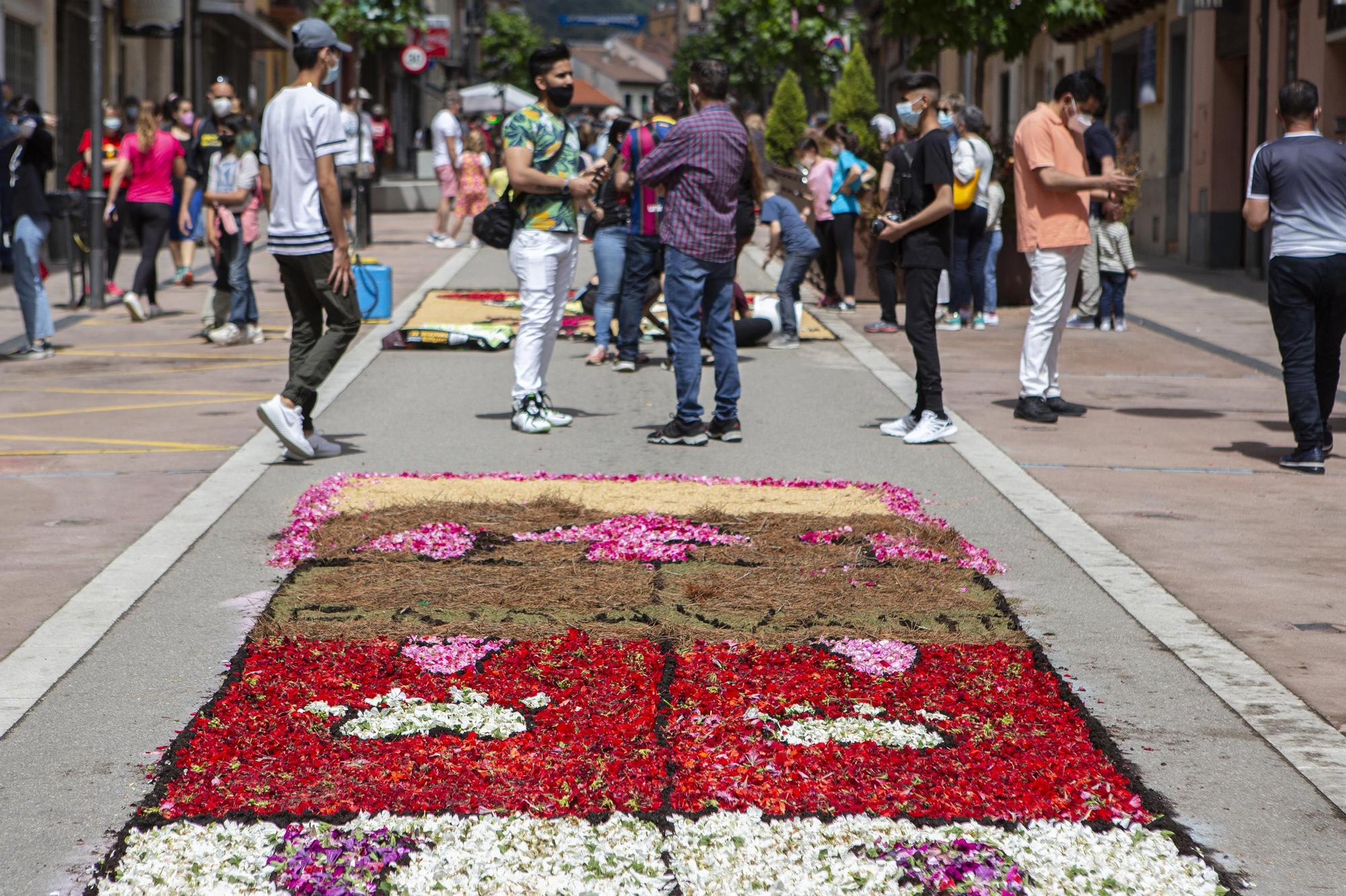 Mostra de Catifes de Flors d'Arbúcies