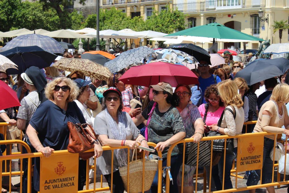 Besamanos a la Virgen de los Desamparados