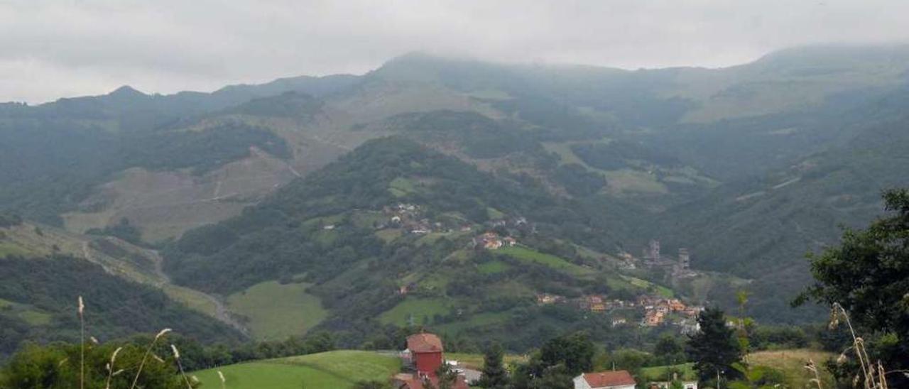 Masa forestal en el valle de San Juan, en el concejo de Mieres.