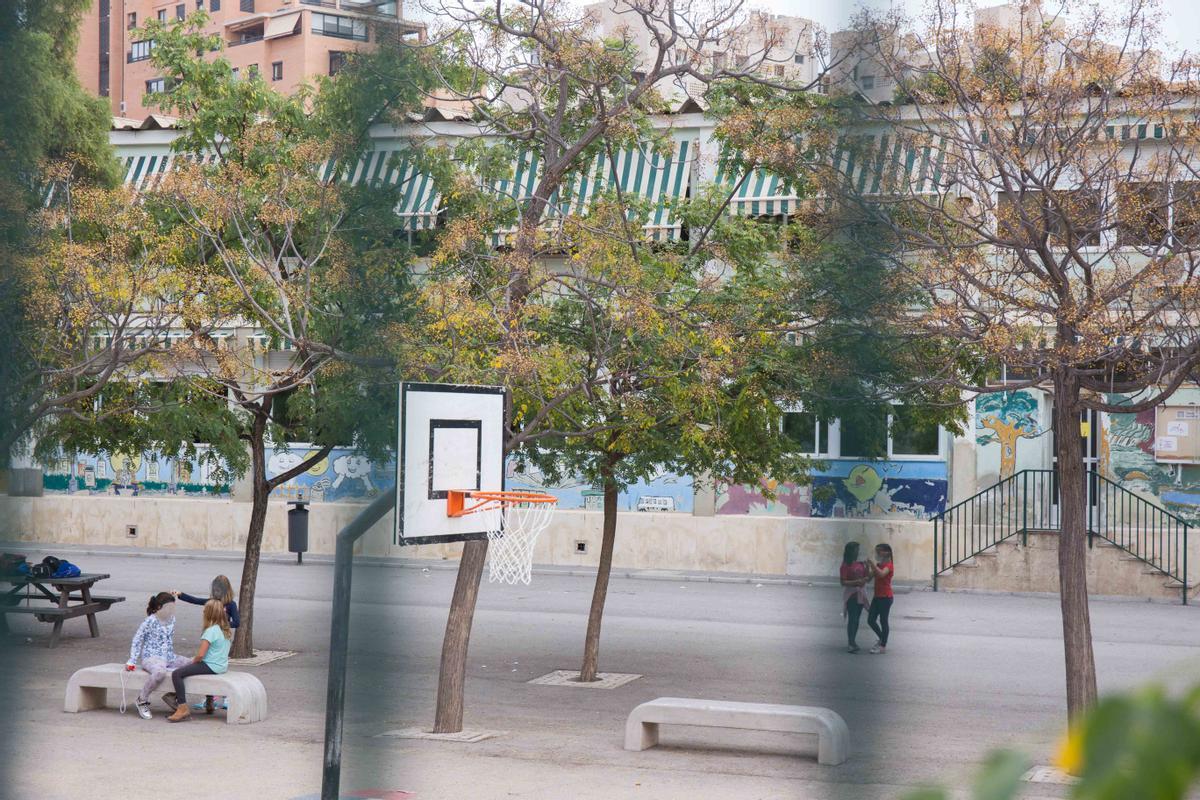 Las cubiertas del colegio Azorín tras los árboles, con fibrocemento