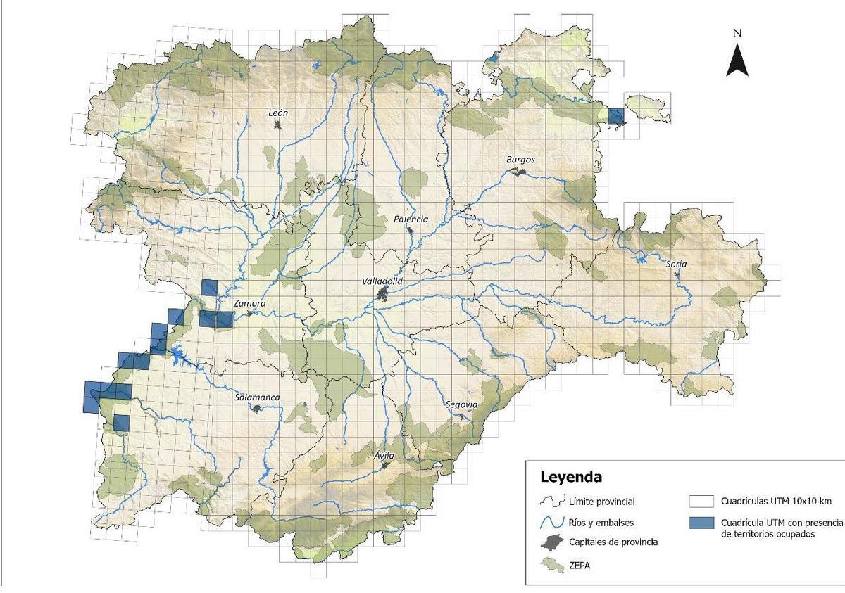 Distribución del águila perdicera en Castilla y León en 2025 en cuadrículas UTM 10x10 km