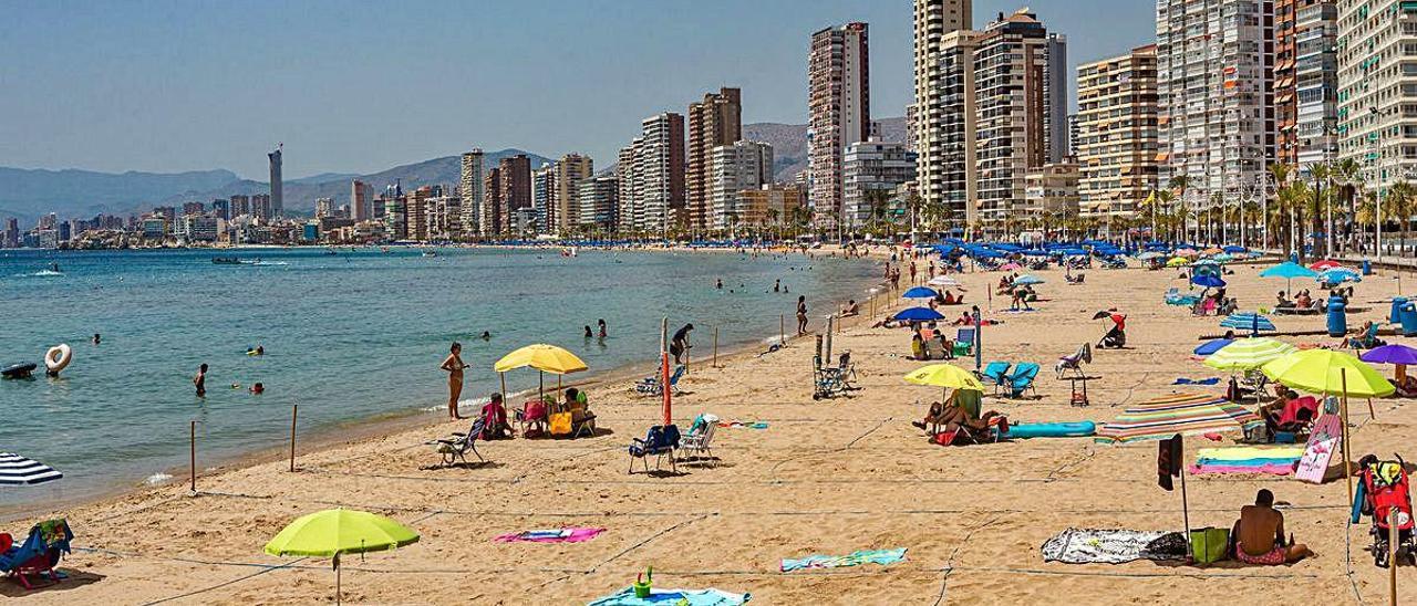 En la playa de Levante de Benidorm, los usuarios eligen su parcela vía «online» y pueden dejar sus enseres el tiempo de reserva.