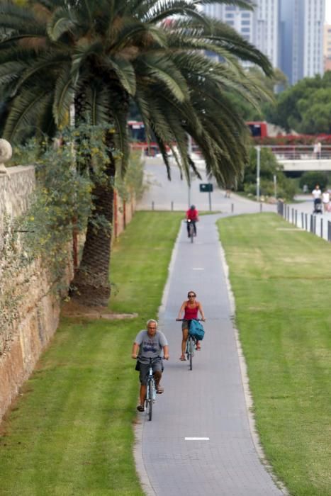 Actividades en el jardín del Túria, el antiguo cauce del río en València.