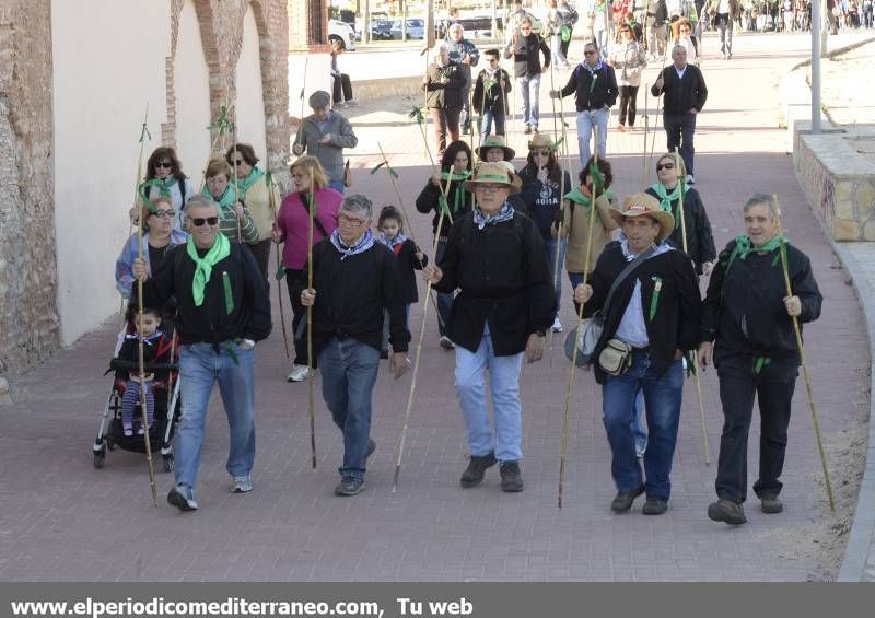 GALERÍA DE FOTOS - Romería Magdalena 2014 (2)