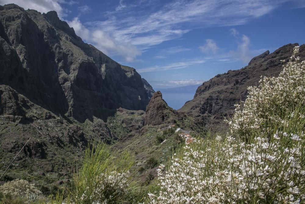 Barranco de Masca.