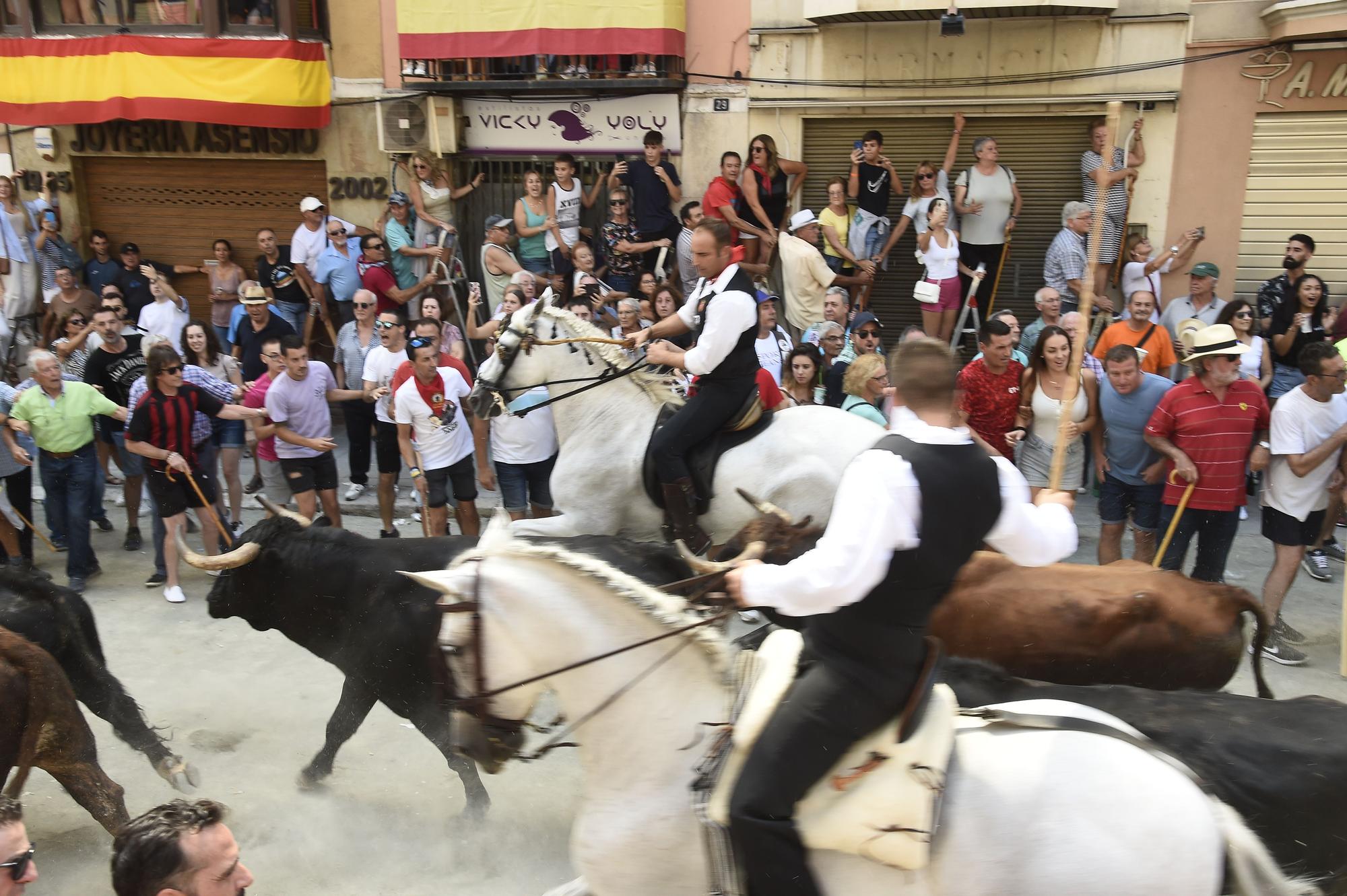 Las mejores fotos de la primera Entrada de Toros y Caballos de Segorbe tras la pandemia