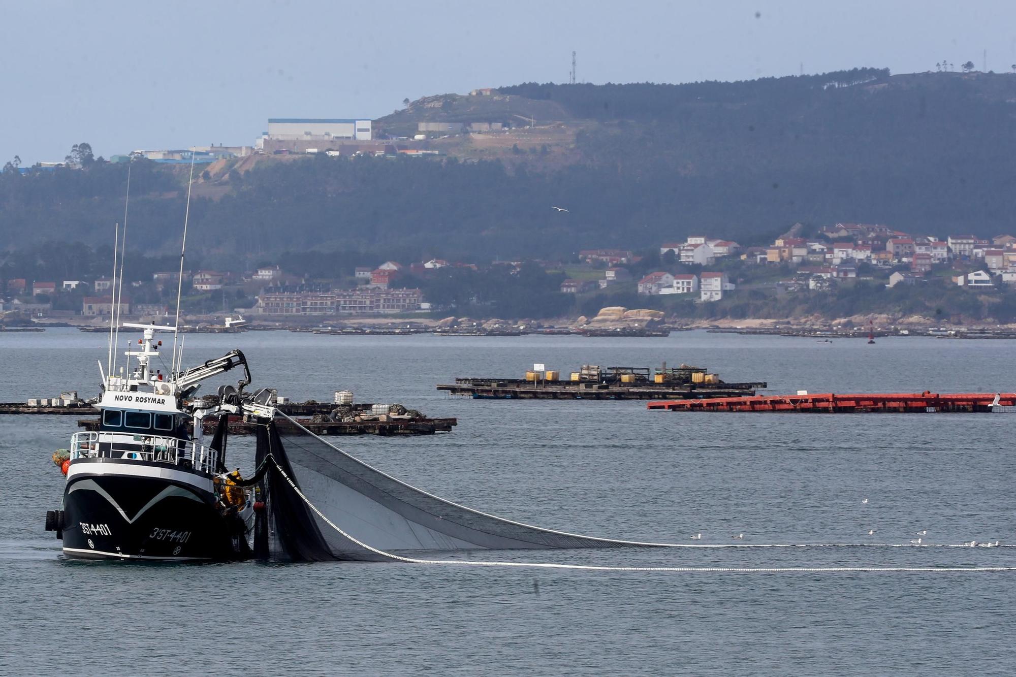 Un barco de cerco en la ría de Arousa.