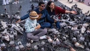 Unos turistas juegan con palomas en la Plaza de Catalunya de Barcelona.