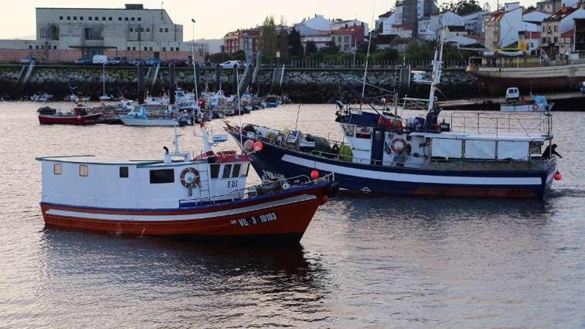 Dos de barcos de pesca de la Ría de Arousa.