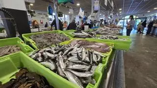Así se presenta una temporada de «xeito» y sardina