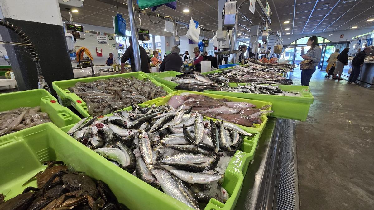Sardinas a la venta en el mercado municipal de abastos vilagarciano, ayer.