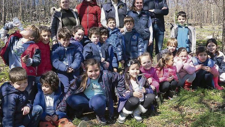 Arriba, una imagen de los niños de Cotobade durante la plantación de árboles. Abajo, los escolares de Ponte Caldelas.//G.S