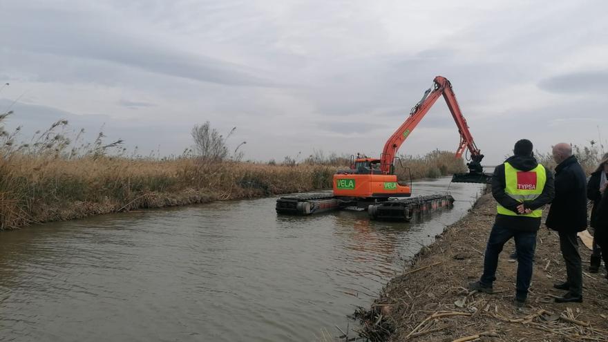 Comienza la limpieza de l'Albufera