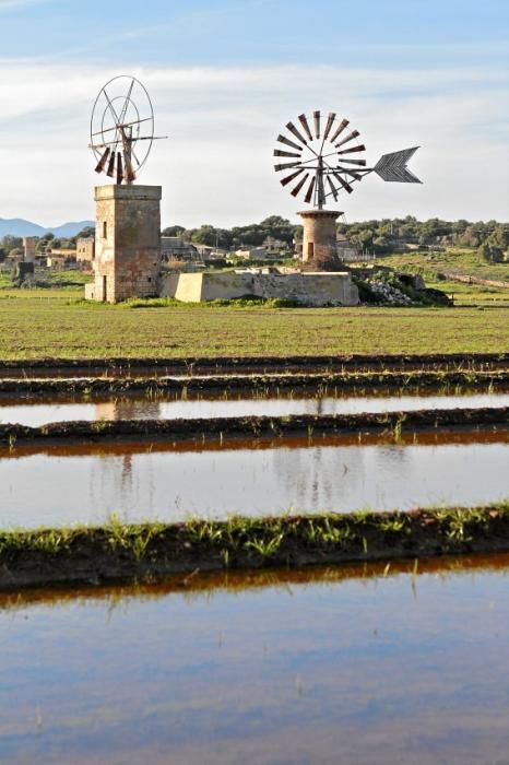 In dem kleinen Dorf in der Nähe des Flughafens von Mallorca steht das Wasser - und fließt seit Dezember nicht ab. Die Anwohner beklagen die Untätigkeit der Politik.