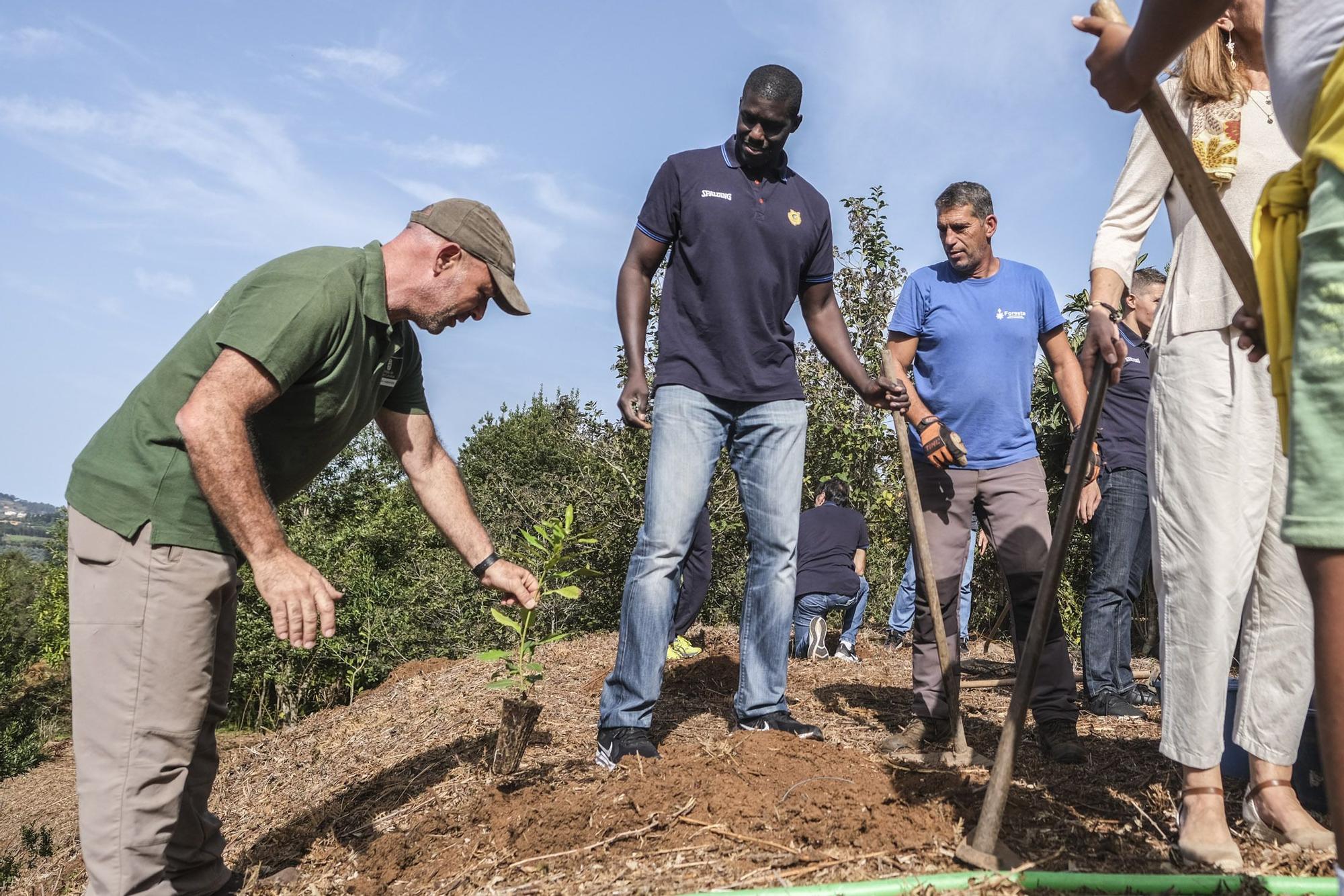 Reforestación 'Compromiso Granca'