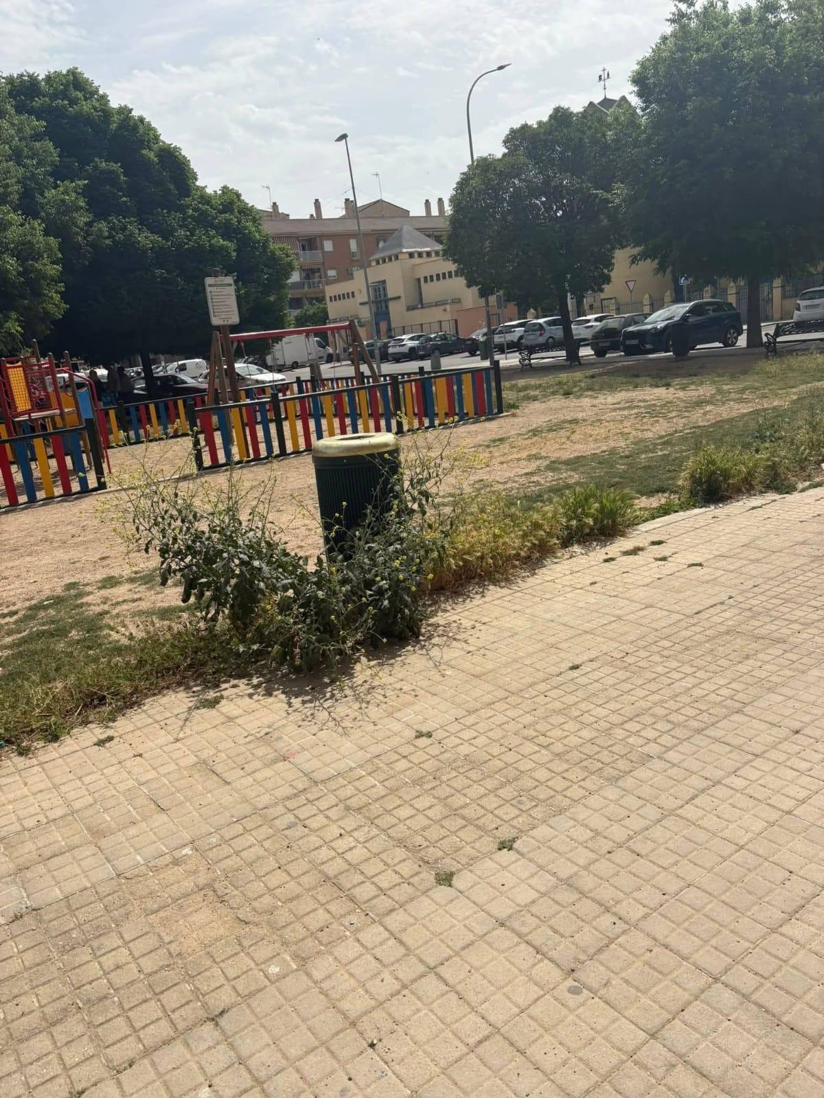 Estado en el que se encuentra la zona infantil.