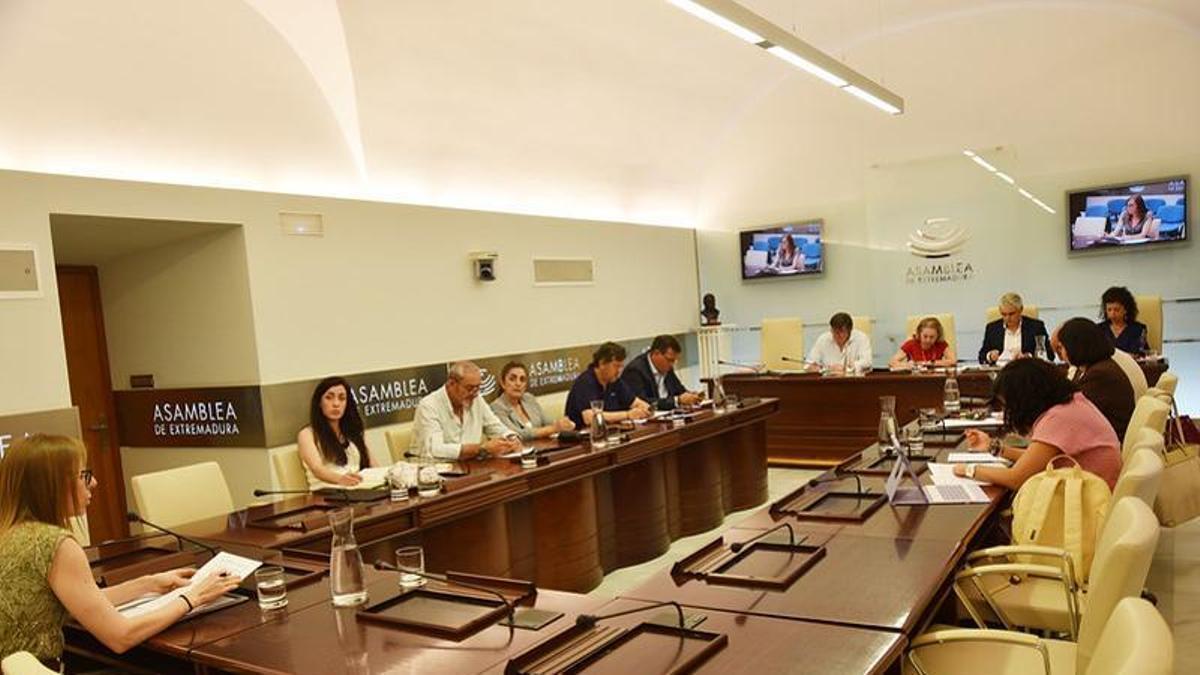 Comisión de Infraestructuras, Transporte y Vivienda de la Asamblea de Extremadura, este lunes.