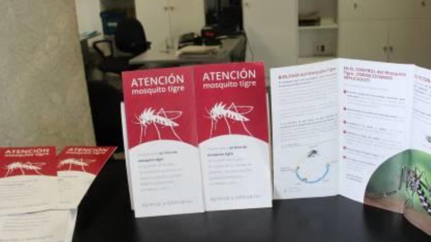 Sanidad descarta realizar una nueva fumigación contra el mosquito tigre