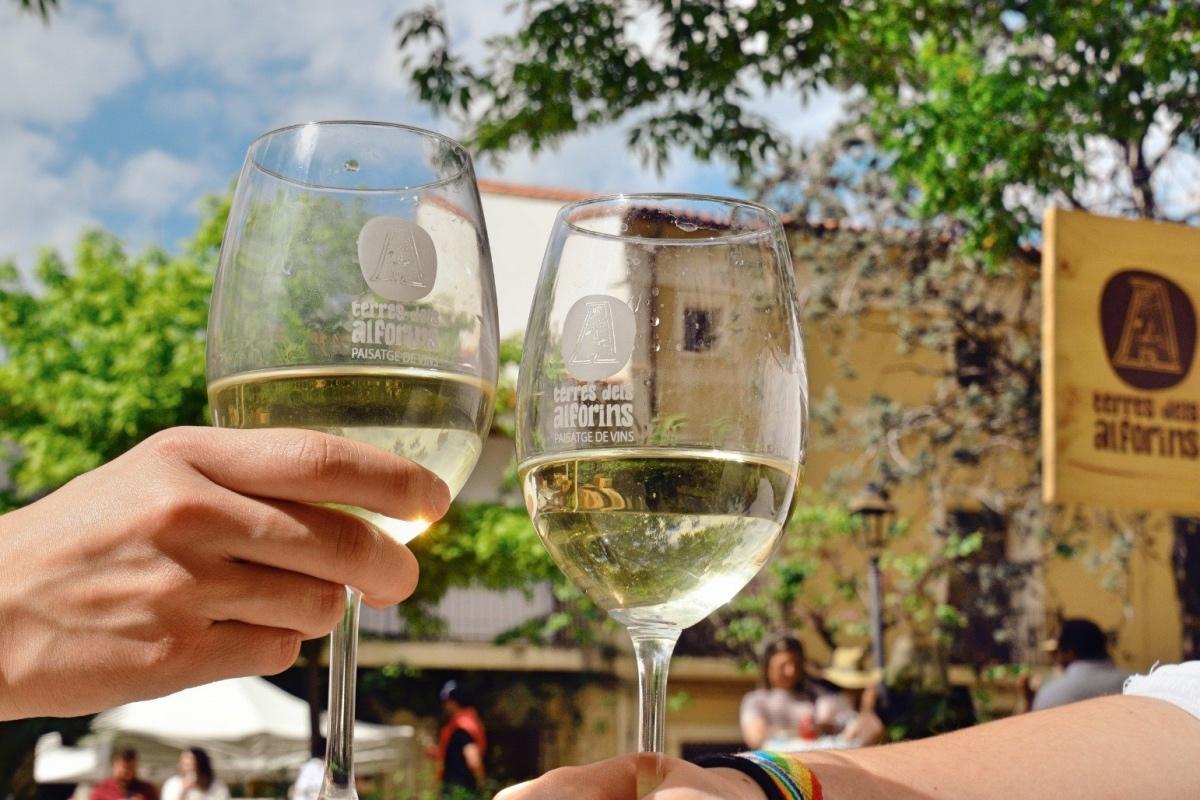 Recorre las bodegas de Les Terres dels Alforins y disfruta de catas, visitas guiadas y experiencias únicas entre viñedos.