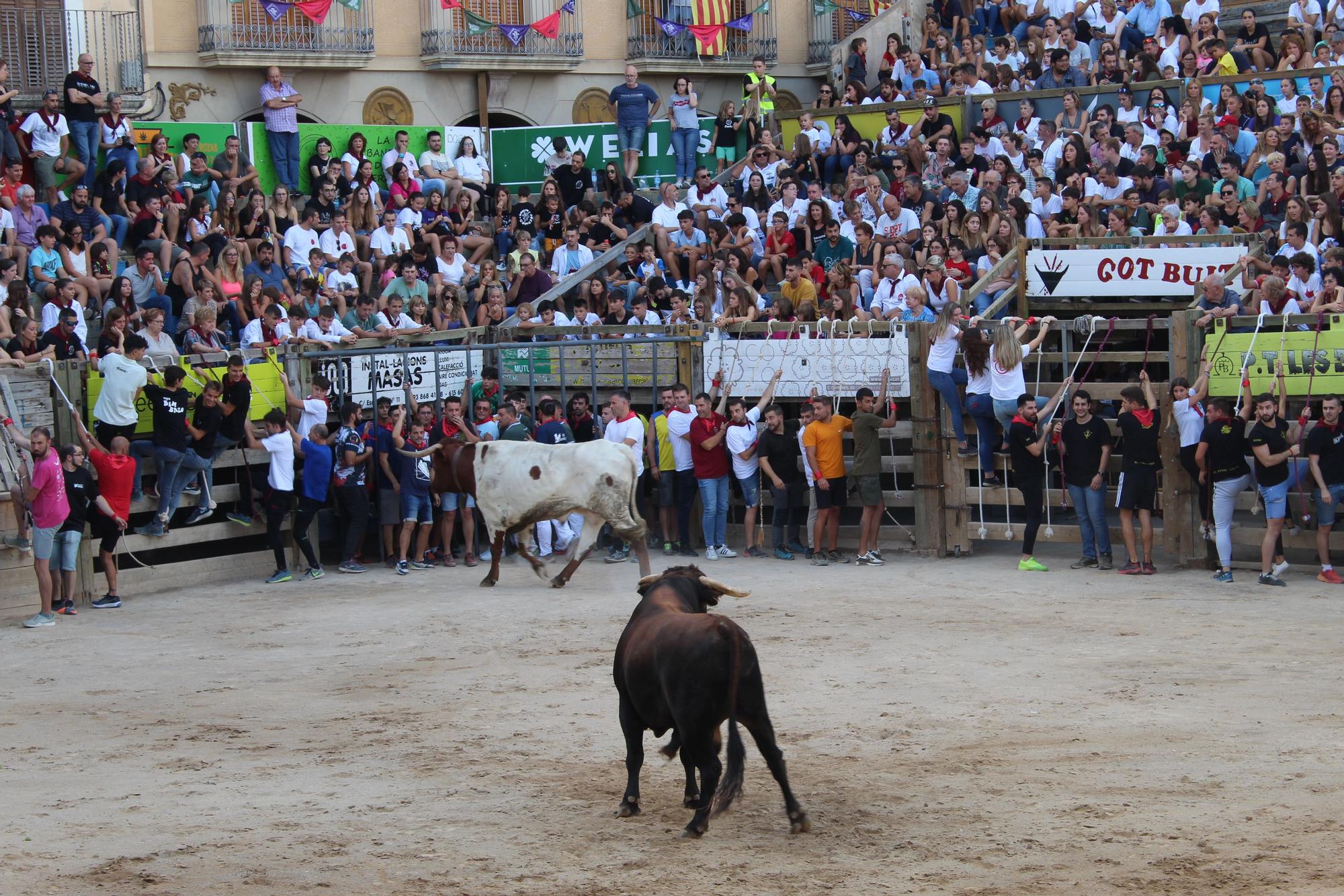 Correu bou