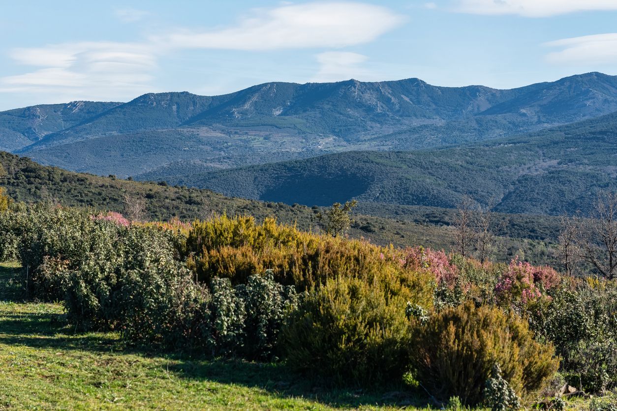 La Sierra Norte de Guadalajara es un paraíso natural