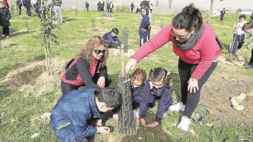 El Consistorio pone en marcha una nueva campaña de reforestación