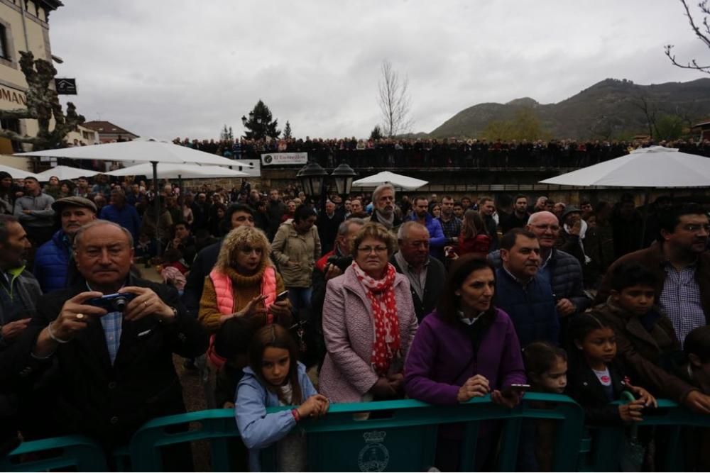 Subasta del campanu en Cangas de Onís